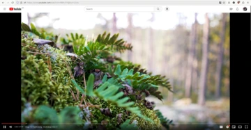 A video is playing. There's nothing other thatn the video itself visible.