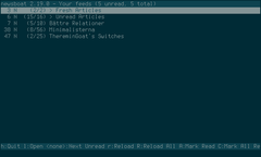 A screenshot of the web feed reader Newsboat
